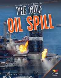 The Gulf Oil Spill